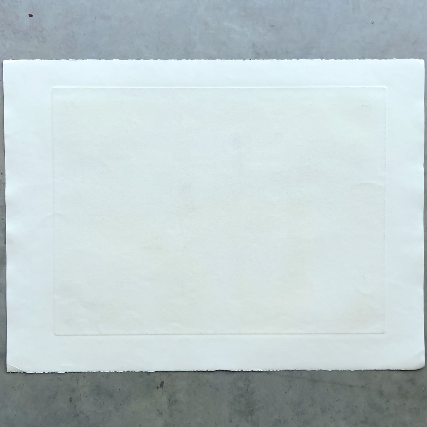 Coffee Cups (1990s) Etching by Donald Kelley #P1855C - 22" x 30"