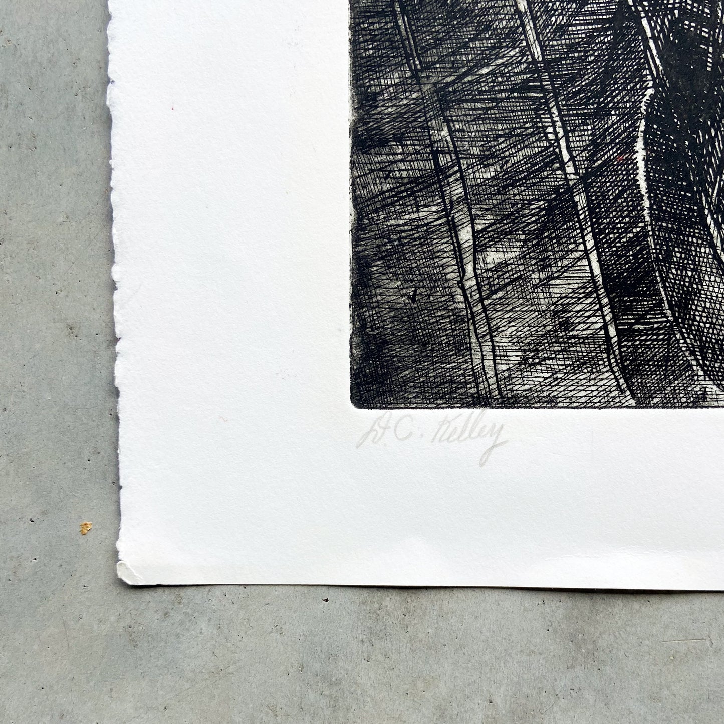 Model (2000) Etching by Donald Kelley #P1866 - 22" x 30"