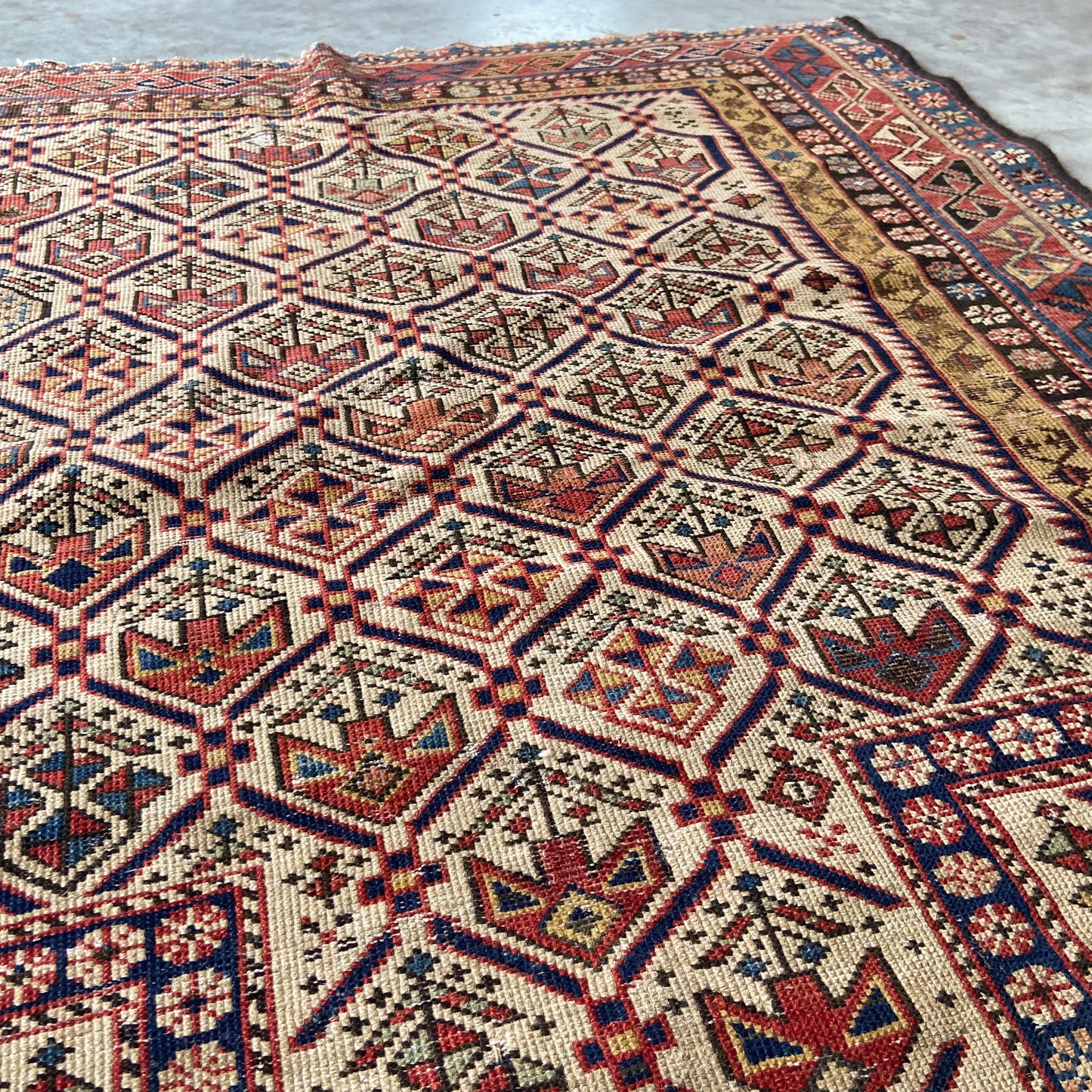 Antique Shirvan Marasali Prayer Rug #R1251 - 3'7" x 4'3"