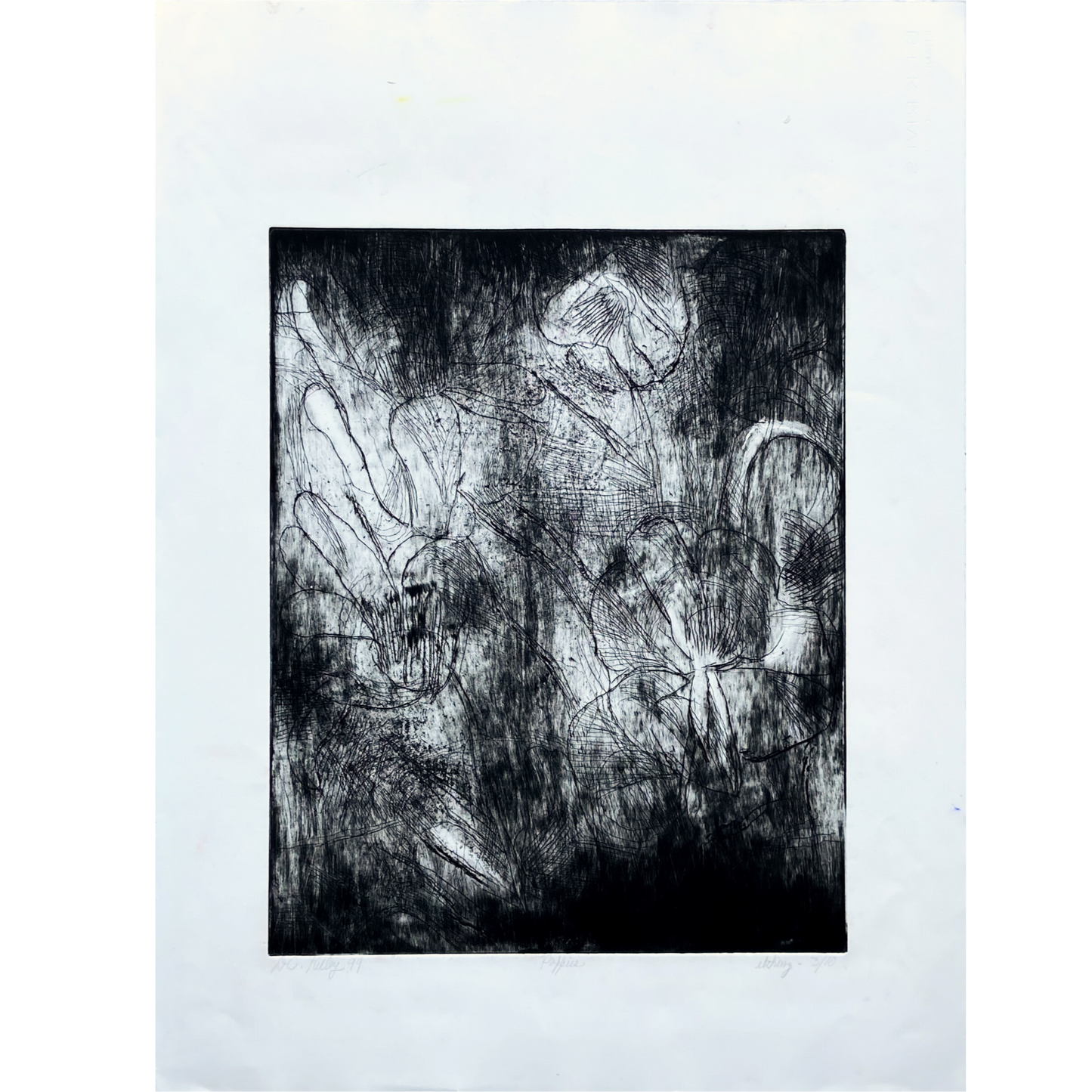 Poppies (1999) Etching by Donald Kelley #P1863 - 22" x 30"