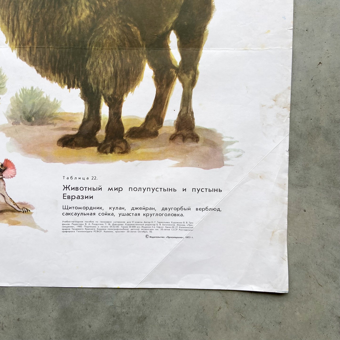 1973 Soviet Wildlife Education Poster #P1986 - 24" x 35"