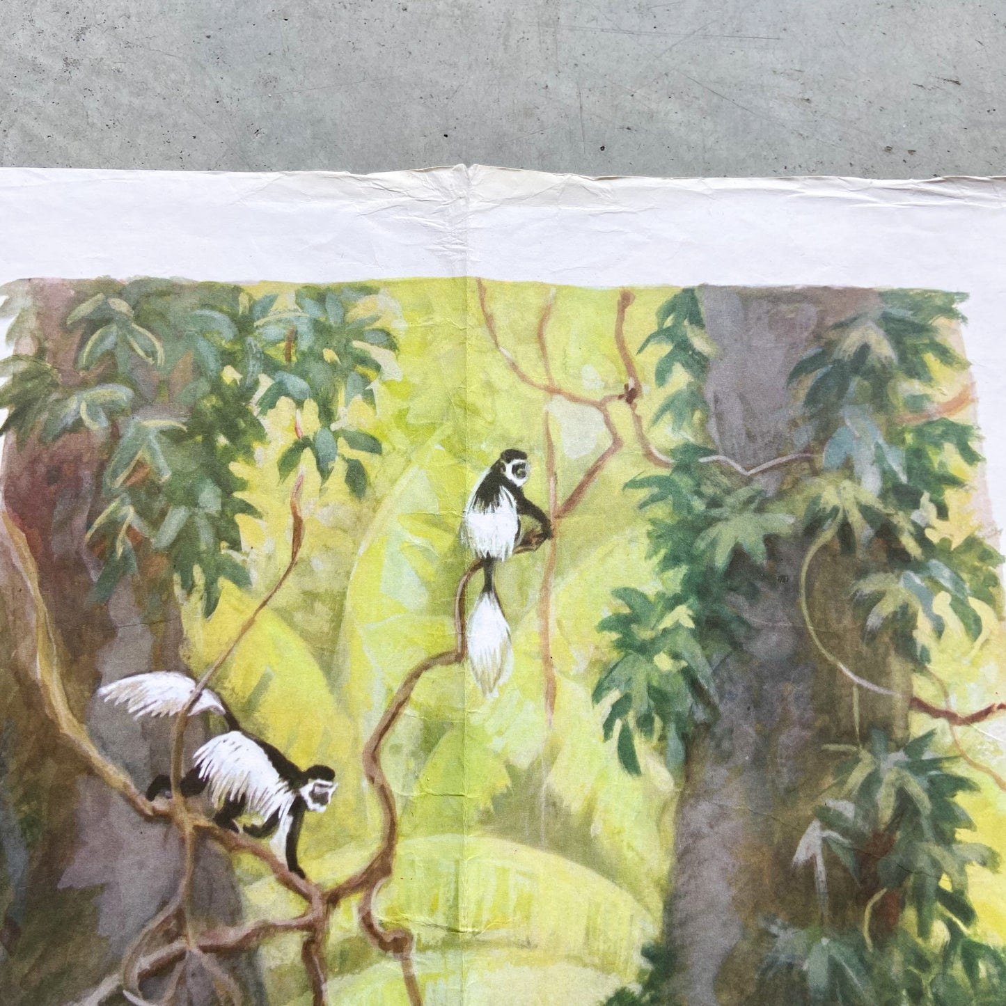 1973 Soviet Wildlife Education Poster #R1987 - 24" x 35"