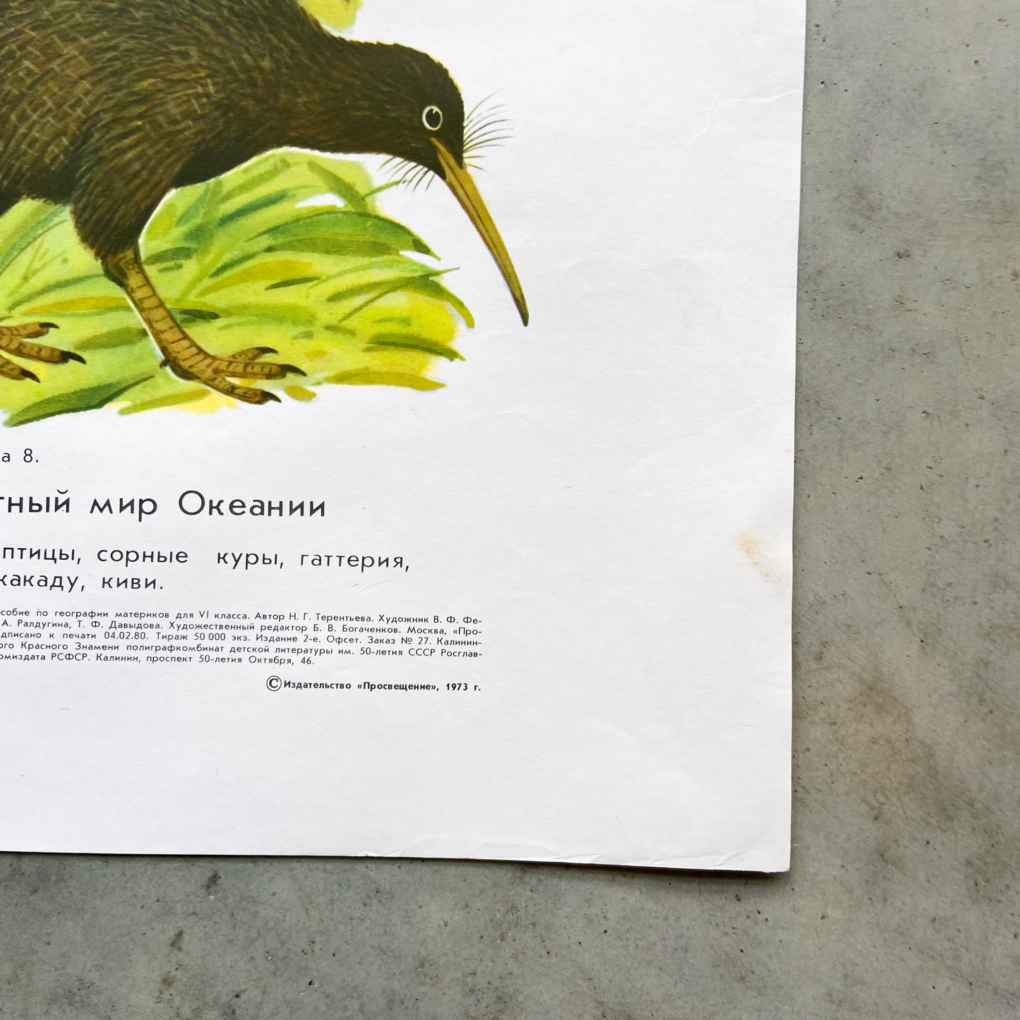 1973 Soviet Wildlife Education Poster #P1988 - 24" x 35"