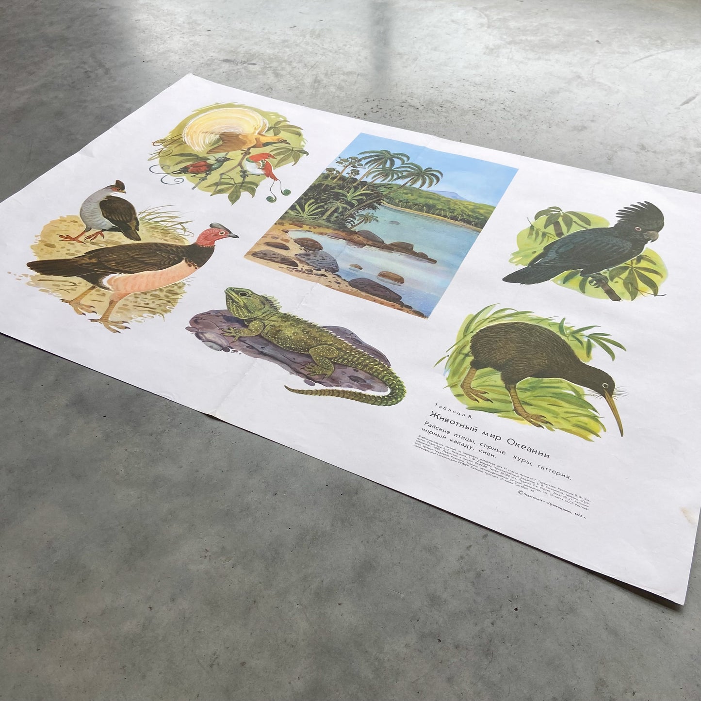 1973 Soviet Wildlife Education Poster #P1988 - 24" x 35"