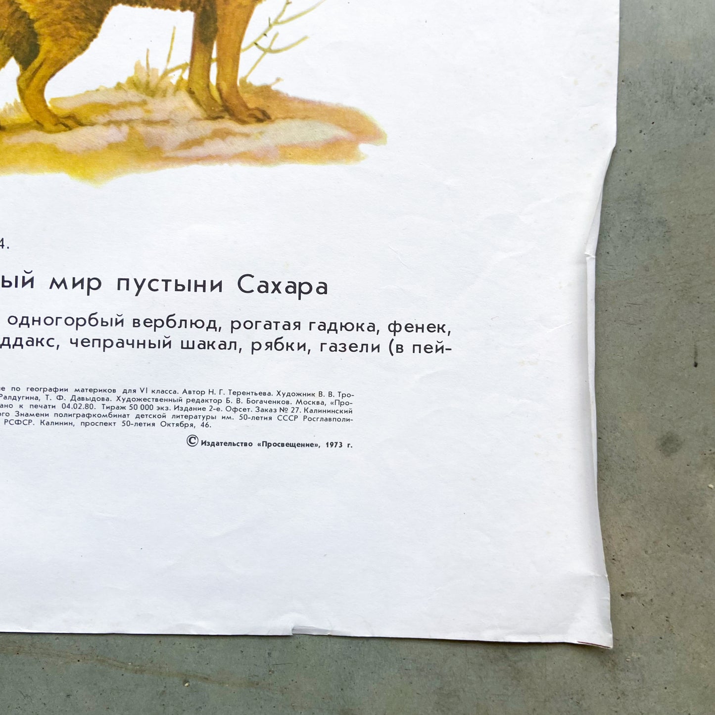 1973 Soviet Wildlife Education Poster #P1991 - 24" x 35"