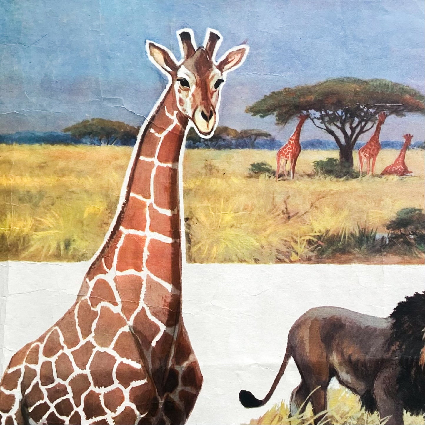 1973 Soviet Wildlife Education Poster #P1383 - 24" x 35"