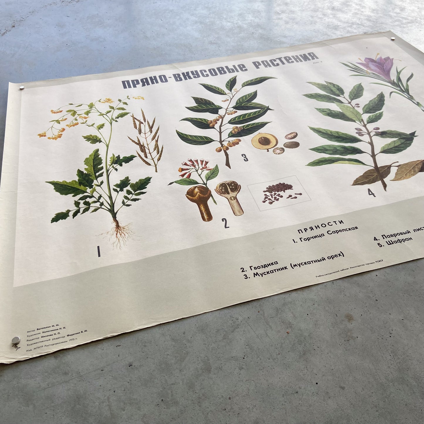 1979 Soviet Spice Education Poster #P1658 - 23" x 32"