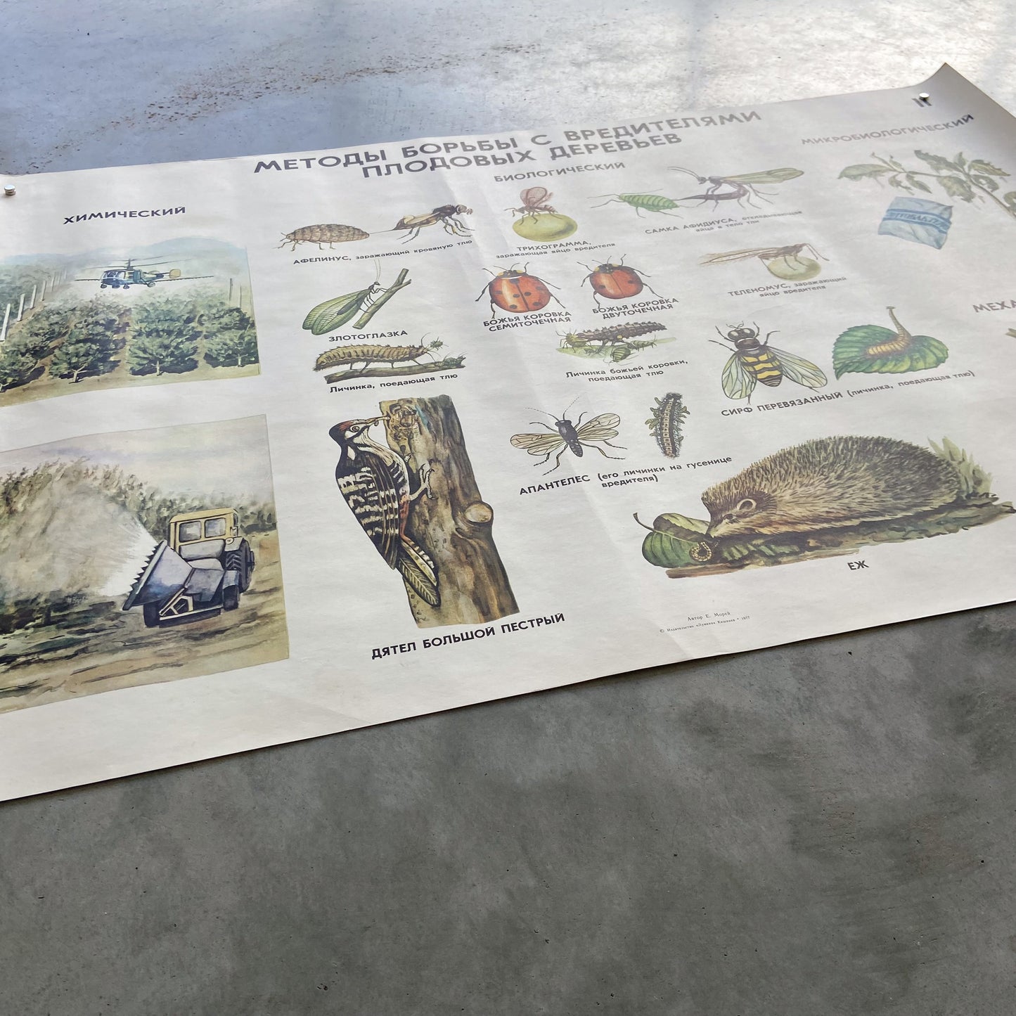 1977 Soviet Pest Control Educational Poster #P1281 - 24" x 35"