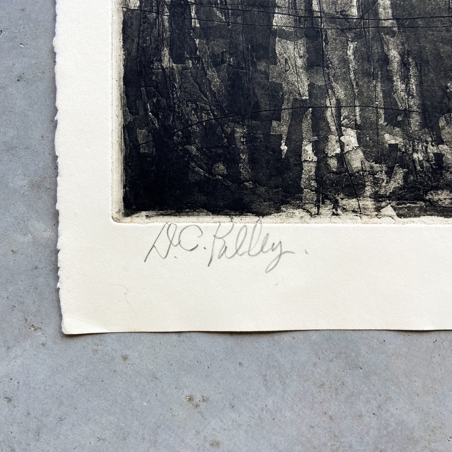 Untitled (1990s) Etching by Donald Kelley #P1853 - 22" x 30"