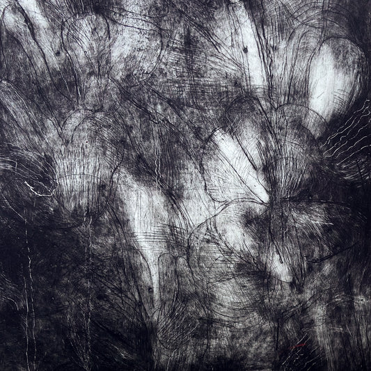 Charleston Poppies (1999) Etching by Donald Kelley #P1854 - 22" x 30"