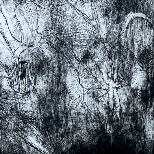 Poppies (1999) Etching by Donald Kelley #P1863 - 22" x 30"