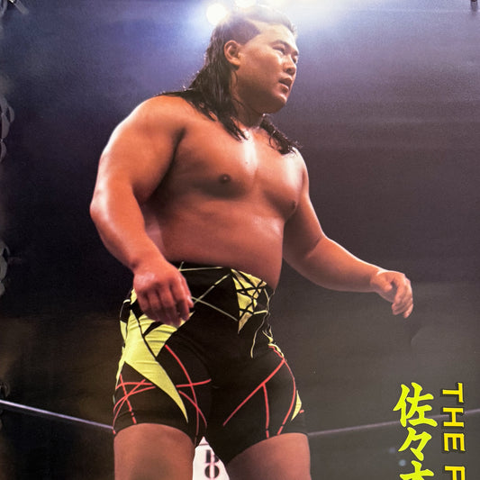 1990s Japanese Pro-Wrestling Poster #P1878 - 20" x 29"