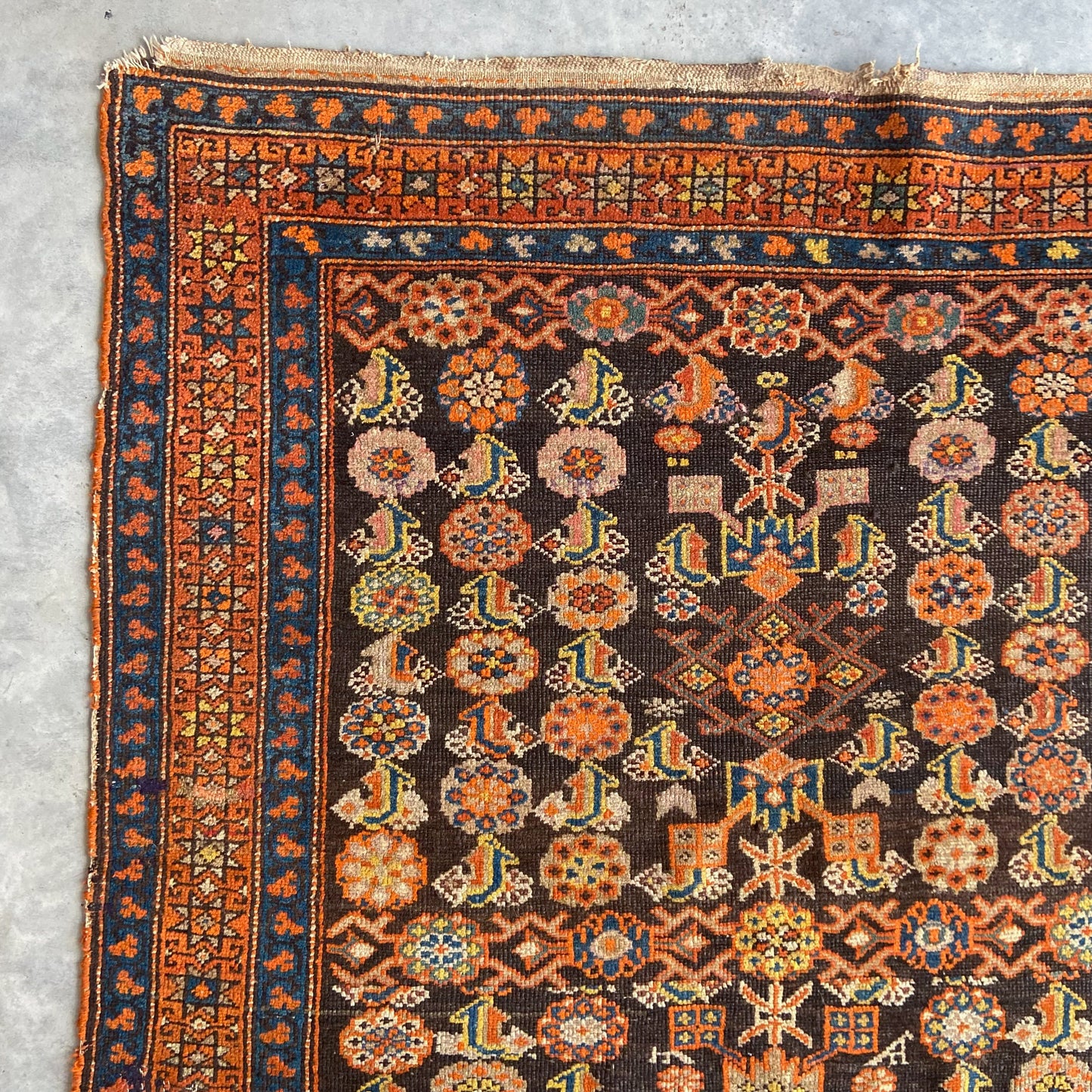 Antique Northwest Persian Accent Rug #R1116 - 3'11" x 6'7"