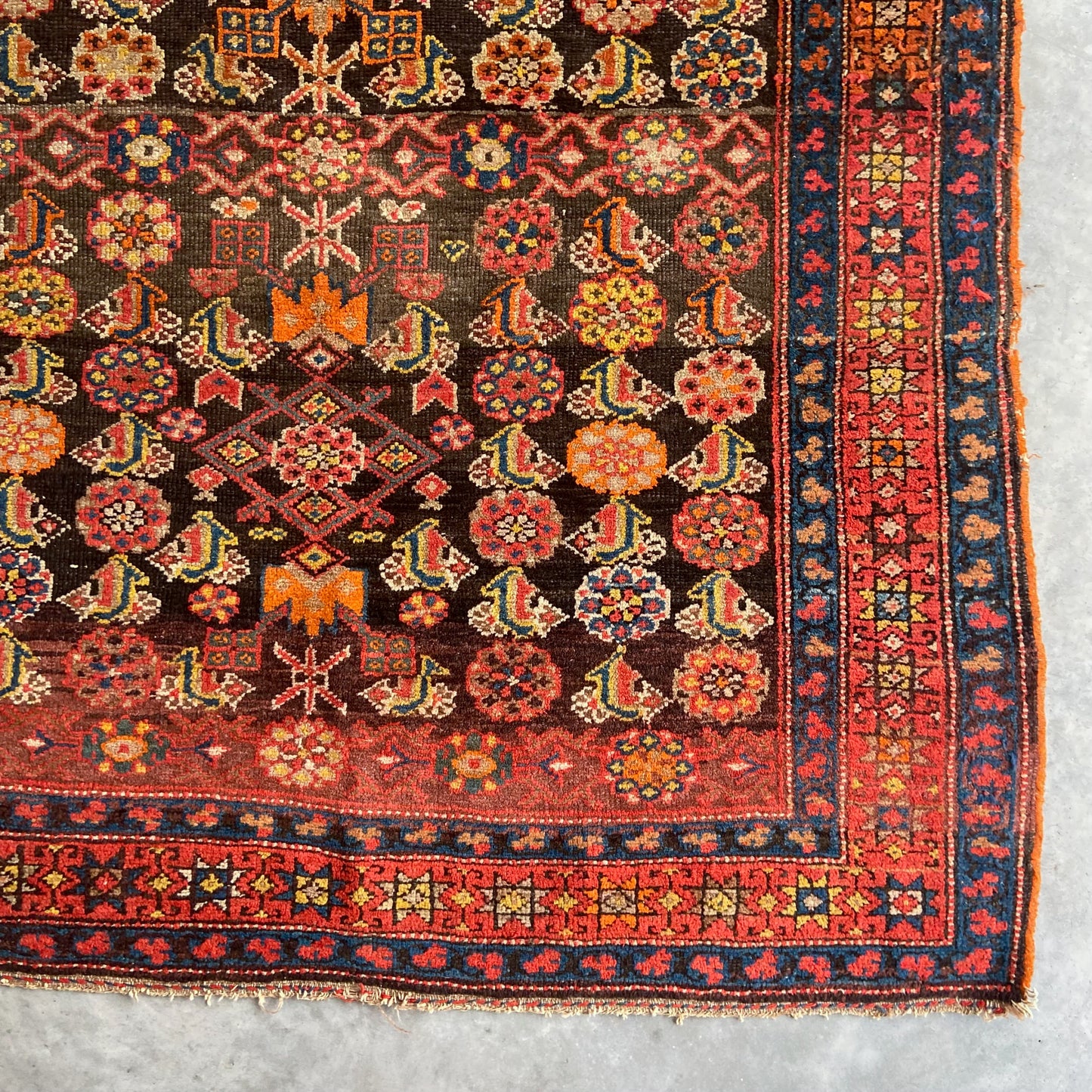 Antique Northwest Persian Accent Rug #R1116 - 3'11" x 6'7"