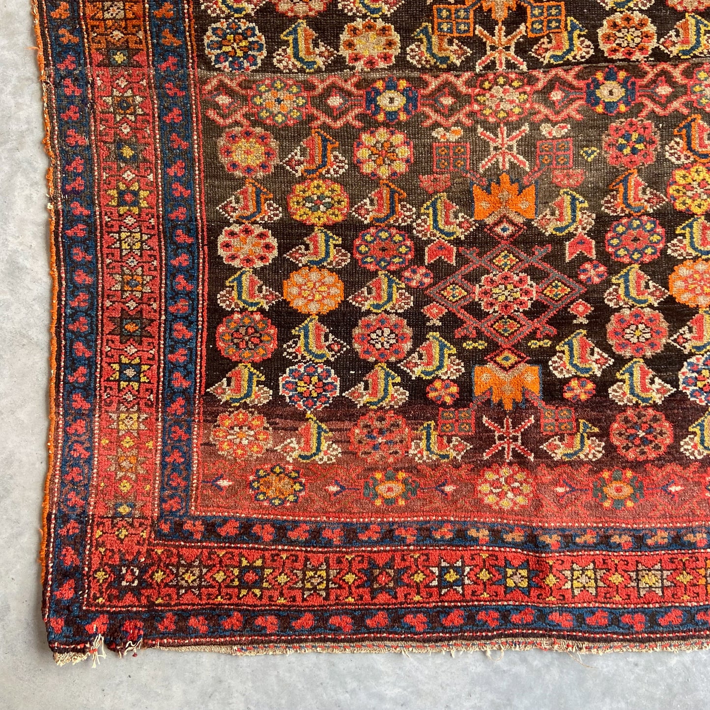 Antique Northwest Persian Accent Rug #R1116 - 3'11" x 6'7"