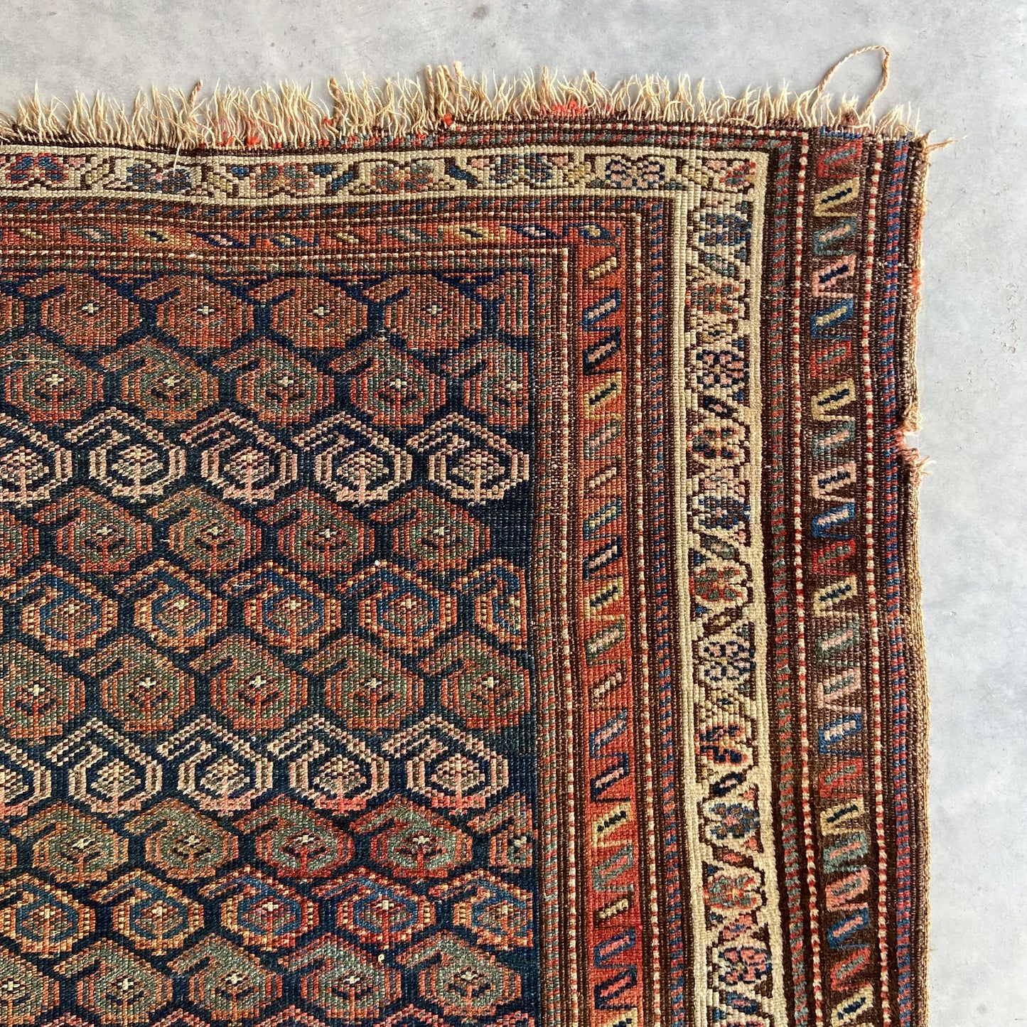 Antique Northwest Persian Accent Rug #R999 - 4'2" x 5'10"