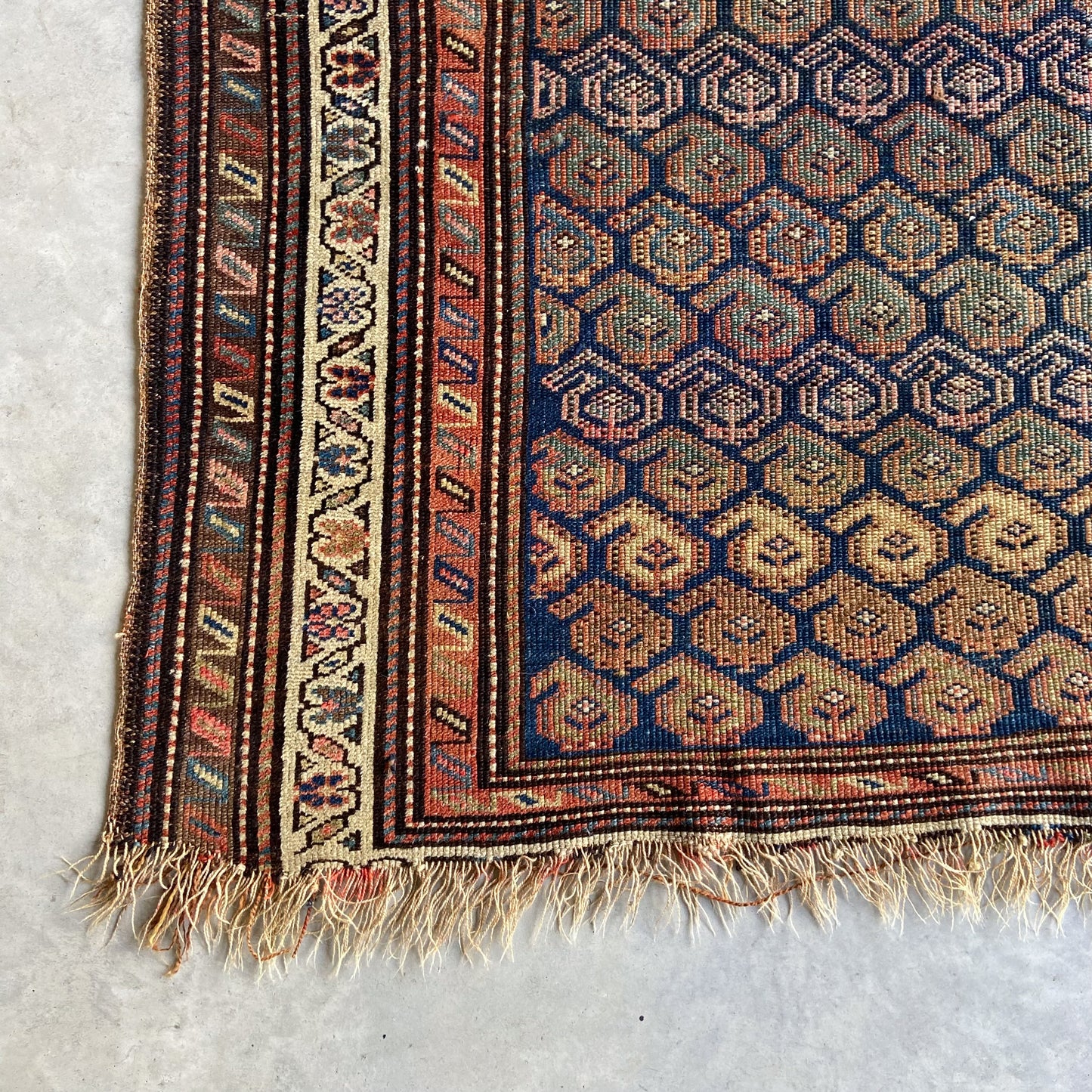 Antique Northwest Persian Accent Rug #R999 - 4'2" x 5'10"