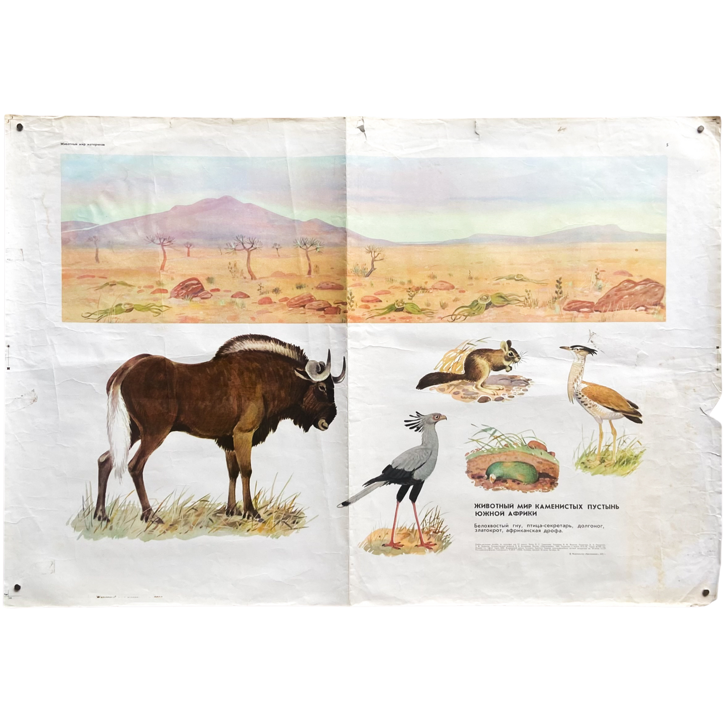 1973 Soviet Wildlife Education Poster #P1385 - 24" x 35"