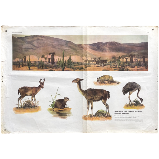 1973 Soviet Wildlife Education Poster #P1387 - 24" x 35"