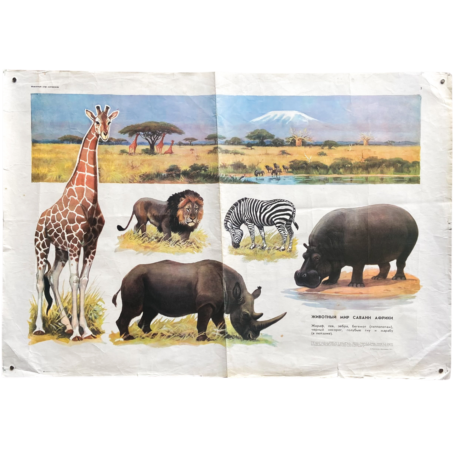 1973 Soviet Wildlife Education Poster #P1383 - 24" x 35"