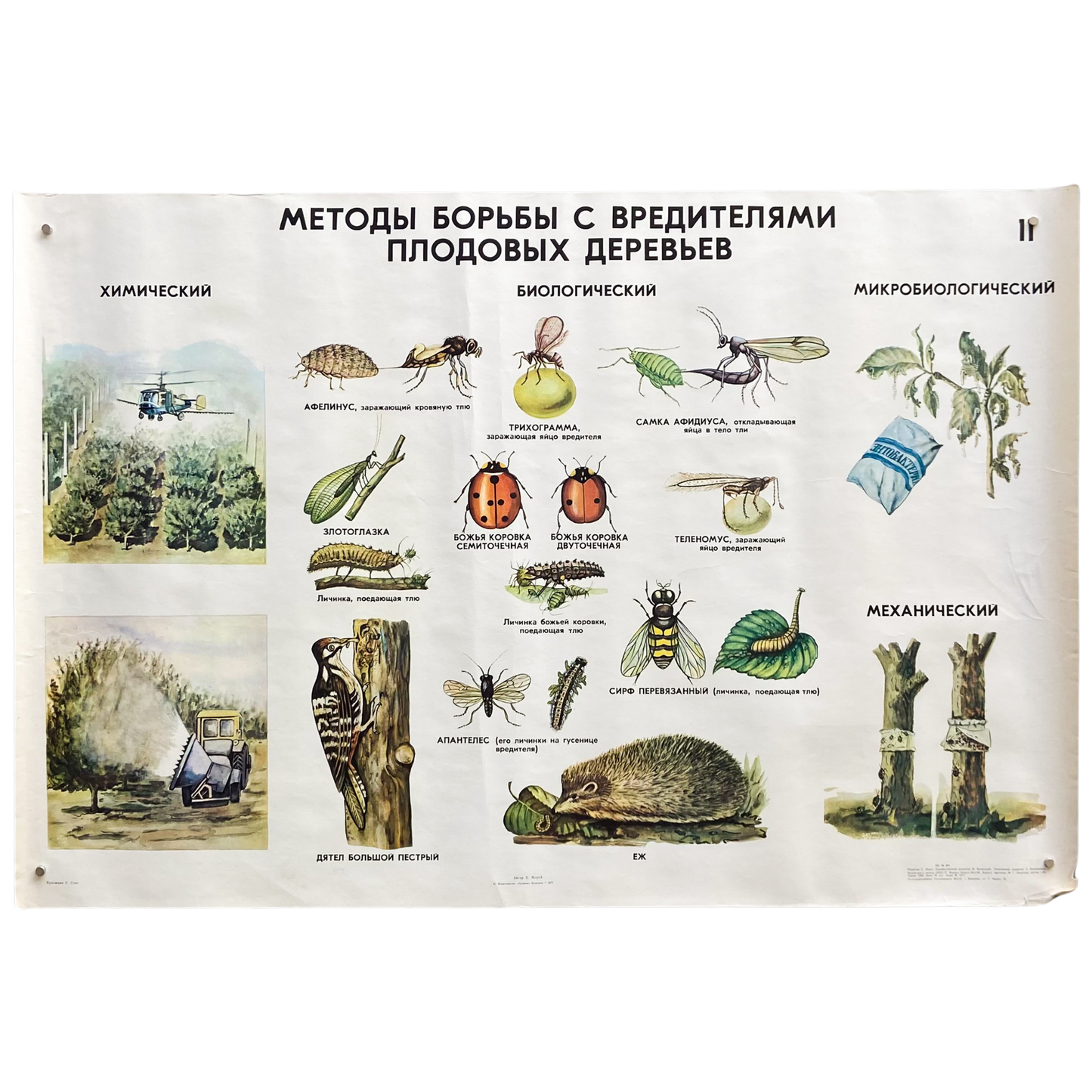 1977 Soviet Pest Control Educational Poster #P1281 - 24" x 35"