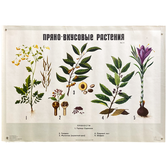 1979 Soviet Spice Education Poster #P1658 - 23" x 32"