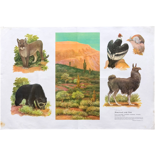 1973 Soviet Wildlife Education Poster #P1990 - 24" x 35"