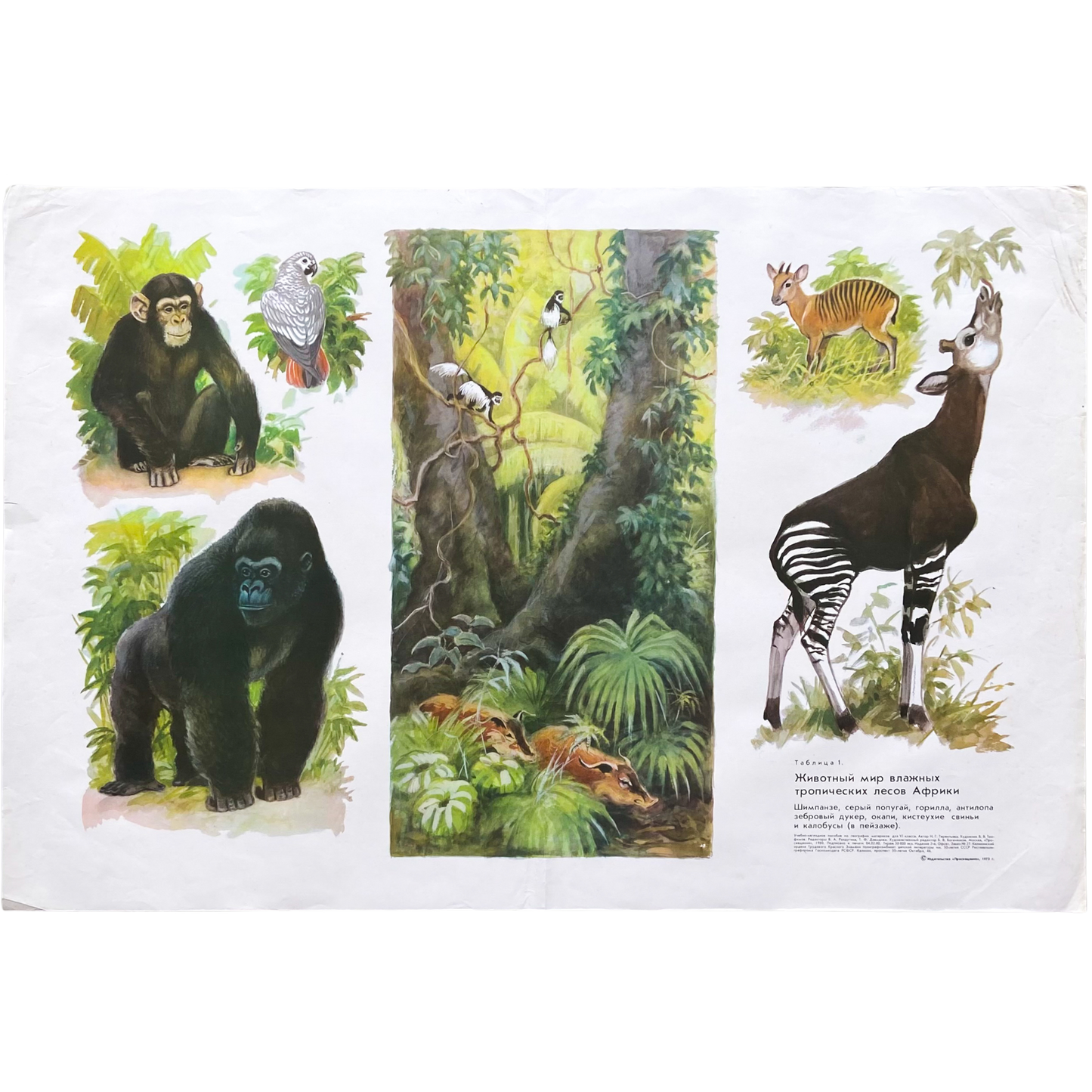 1973 Soviet Wildlife Education Poster #R1987 - 24" x 35"