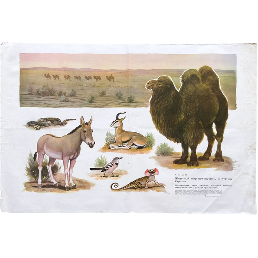 1973 Soviet Wildlife Education Poster #P1986 - 24" x 35"