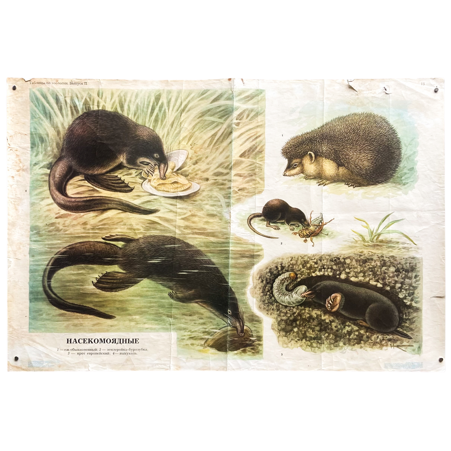 1975 Soviet Zoology Education Poster #P1394 - 23" x 34"