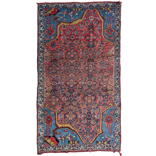 Rare Antique Bijar Accent Rug #R1058 - 3'6" x 6'3"