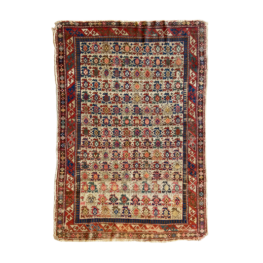 Antique Shirvan Accent Rug #R839 - 3'9" x 5'5"